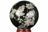 Polished Snowflake Stone Sphere - Pakistan #187524-1